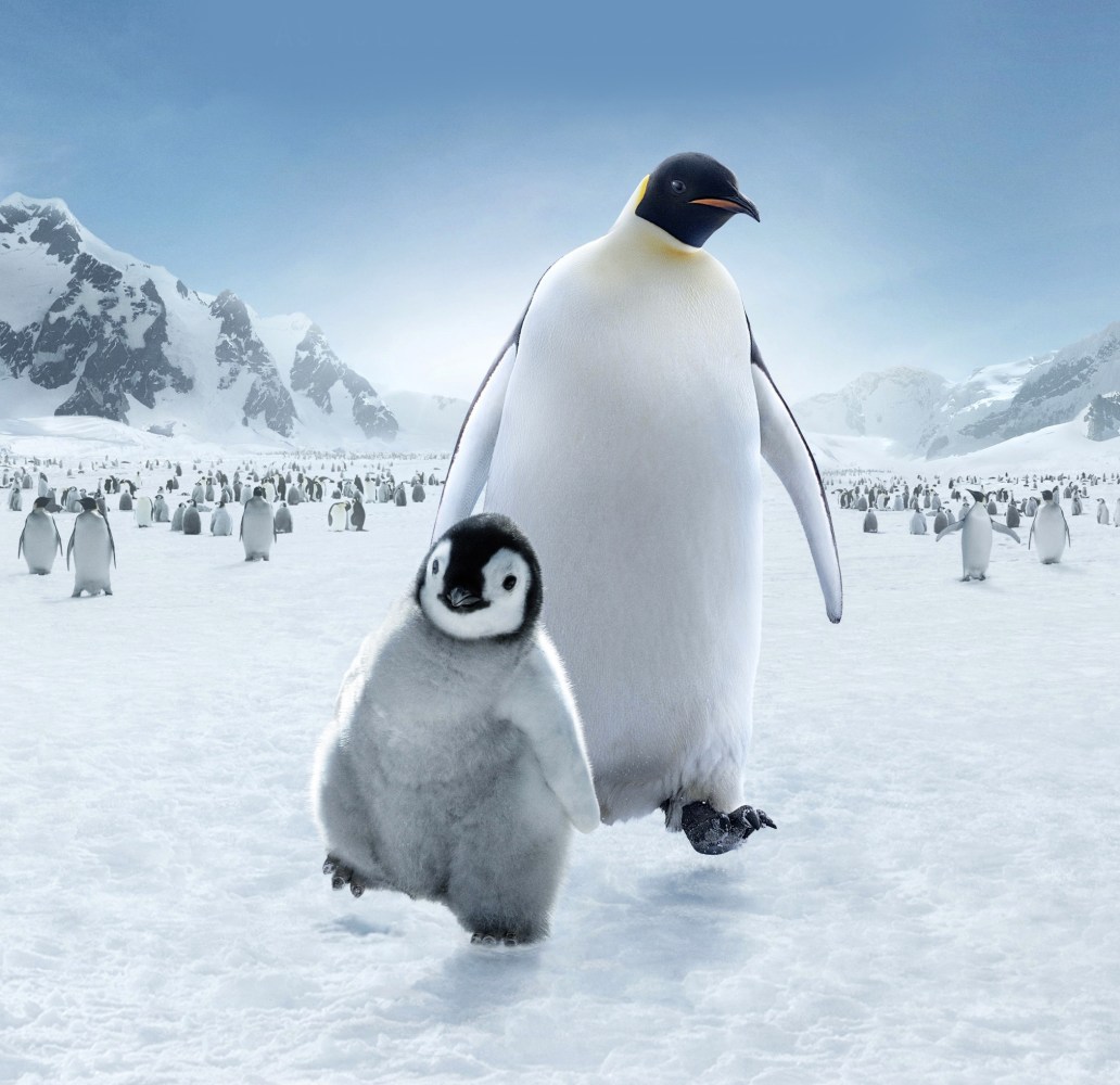 Film Flippers: Our 5 Favourite Penguin Movies | International Antarctic ...